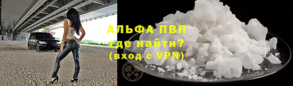 шишки Белоозёрский