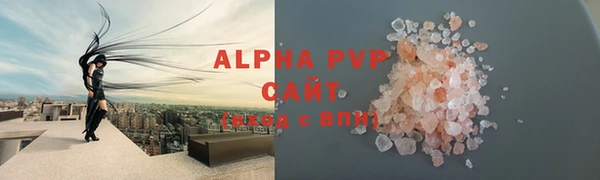 шишки Белоозёрский