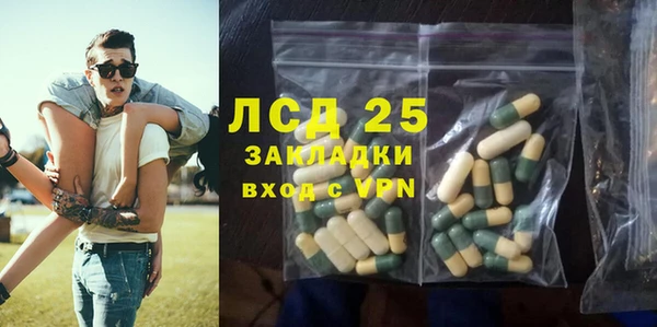 шишки Белоозёрский