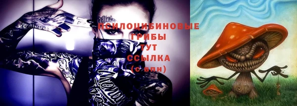 твердый Белокуриха