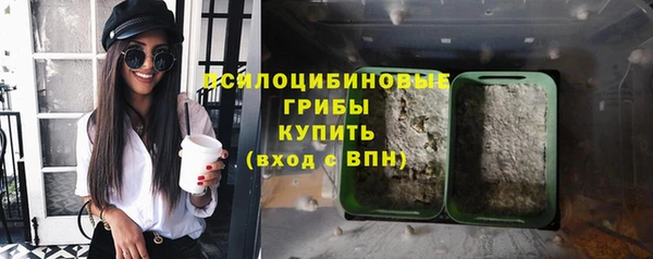 шишки Белоозёрский